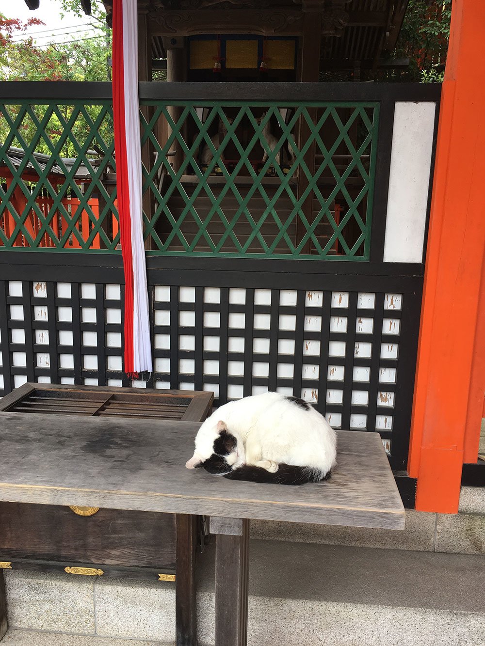 占い師愛羅のお気に入り写真2